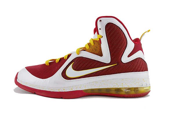 Nike lebron discount 9 porpora
