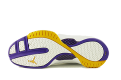 Air Jordan 19 SE "Lakers"