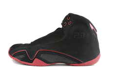 Air Jordan 21 (CDP)