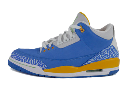 Air Jordan 3 "DTRT"