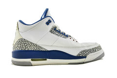 Air Jordan 3 "True Blue" (2001)