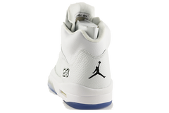 Air Jordan 5 "White Metallic"