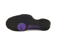 Nike Hyperdunk "Eggplant"